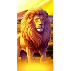Lion
Safari